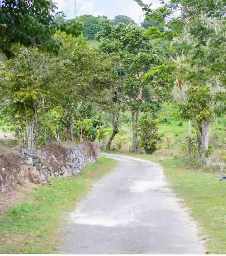 Murphy Hill, Mountain Cottage , Spectacular Views Ocho Rios Holiday home