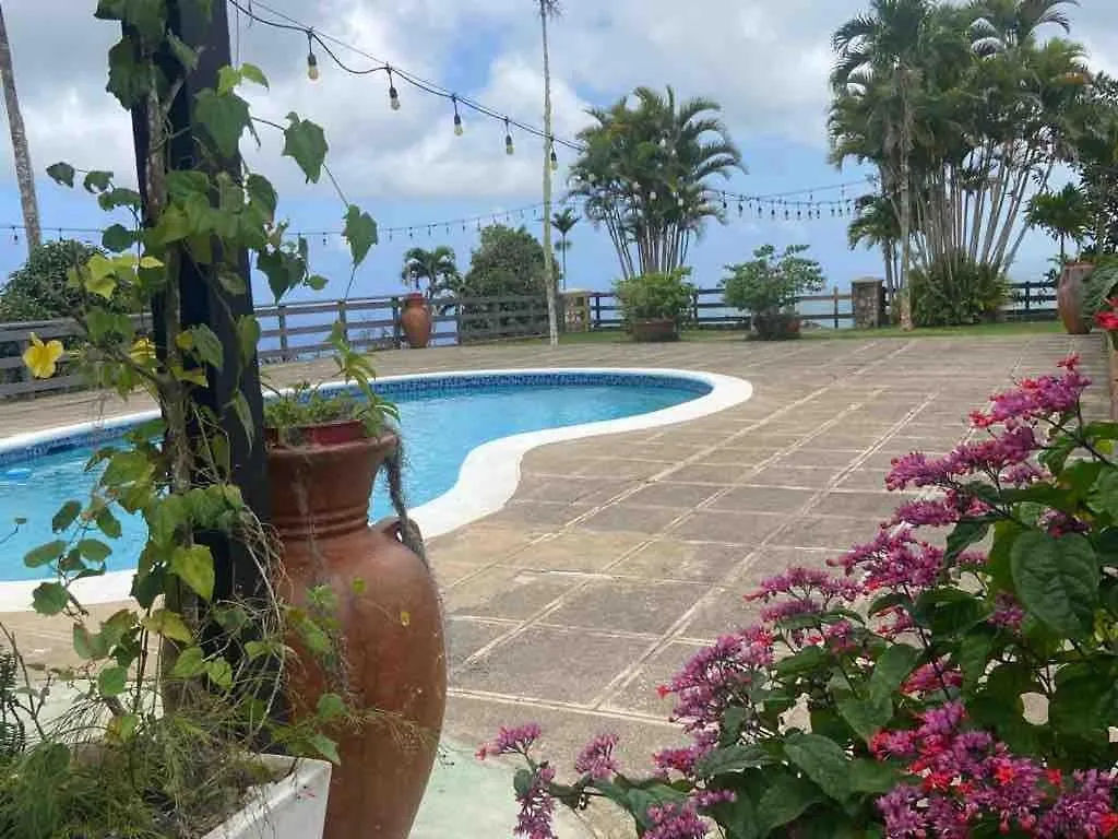 Murphy Hill, Mountain Cottage , Spectacular Views Ocho Rios Holiday home