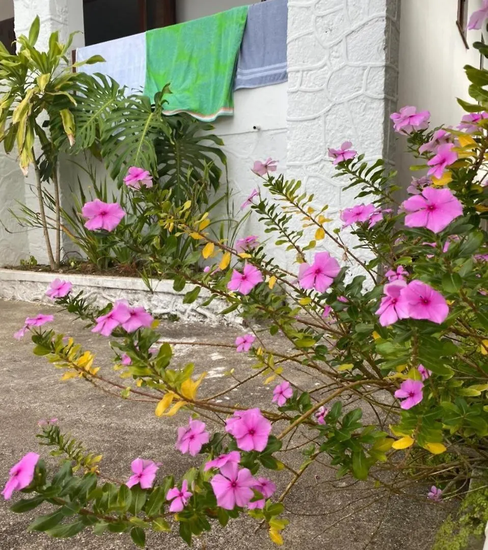 Murphy Hill, Mountain Cottage , Spectacular Views Ocho Rios